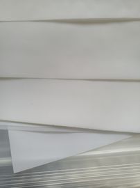 Chine Maille en nylon de tissu filtrant de santé avec la couleur blanche pour la filtration de nourriture fournisseur