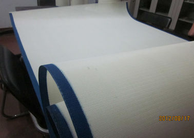 Tissu 100% de maille de bout droit de polyester du monofilament 26808 pour l'asséchage de boue